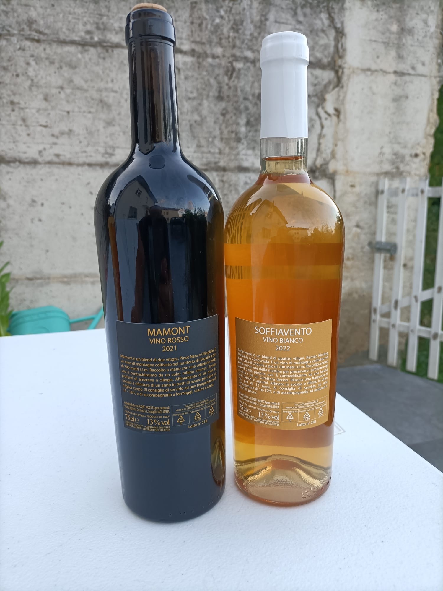 Bottiglie dei vini Mamont e Soffiavento di Antica Foruli su un tavolo all'aperto